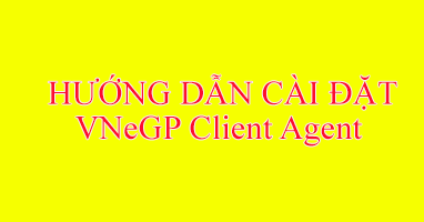 Hướng dẫn cài đặt VNeGP Client Agent